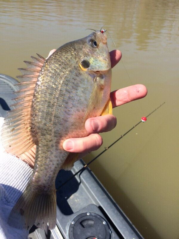 Tight Line Tackle 1OZ Upperman Jigs - Capt. Harry's Fishing Supply